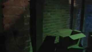 Debbie Rochon and others Nude from Splatter Disco