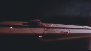 Ruby Larocca and others Naked from Flesh For The Beast