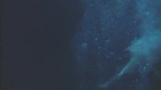 Sung Hi Lee Nude in A Night On The Water
