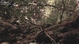Dominique Davalos, Becky Boxer and others Naked and looking good in Stump the Band