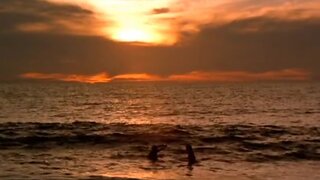 Dona Speir and Hope Marie Carlton Naked together in Savage Beach