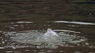 Elizabeth Banks in Bikinis from Wet, Hot, American Summer