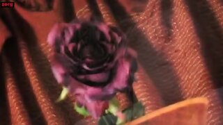 Nectar Rose Naked in Roman