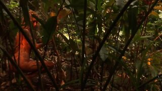 Jessica Barton Nude in Soft and Sweet, Wild Temptress and White Palace