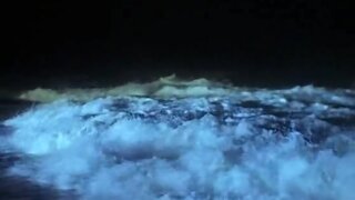 Andrea Bloom Completely Nude and Screwing on the beach in Sambolico