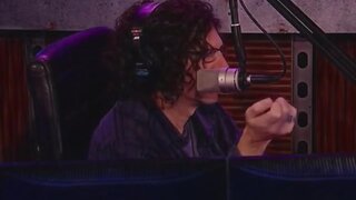 Sarah Silverman on Stern