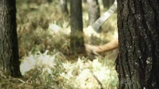 Lucy Lawless in Super City