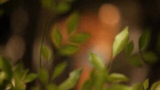 Kate Upton Sports Illustrated Swimsuit Photoshoot 2011