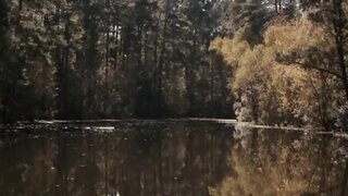 Sarah Butler Full Frontal in I Spit on Your Grave