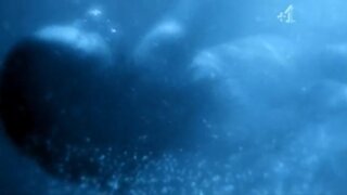 Rebecca Atkinson Nude in the water from Shameless S07E11