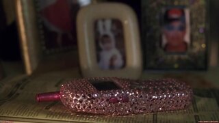 Alexis Dziena Completely Nude in Broken Flowers