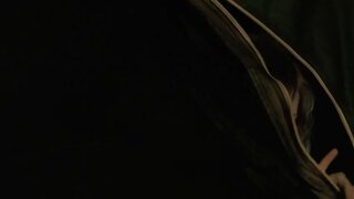 Elisha Cuthbert Cleavage and Leggy in House of Wax